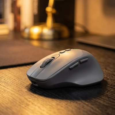 Souris bluetooth gris seul