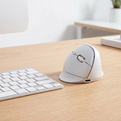 Souris ordinateur blanche