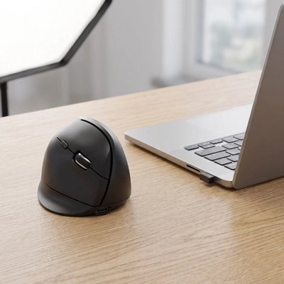 Souris ordinateur noir