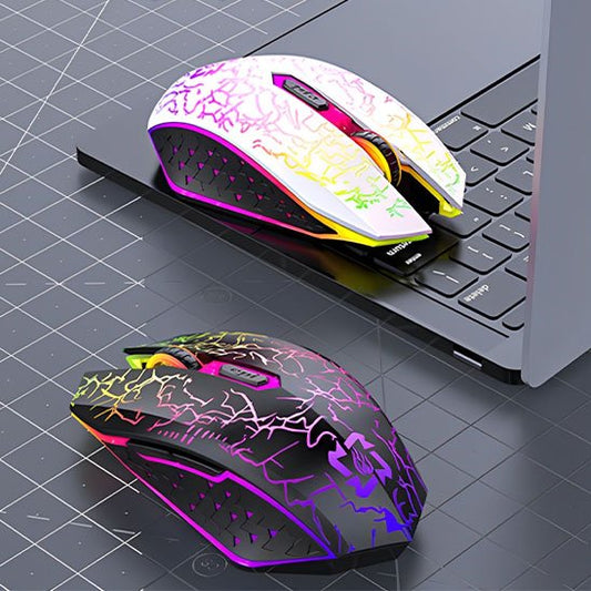 Souris sans fil deux souris